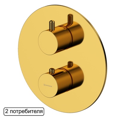 Смеситель термостатический для душа скрытого монтажа WHITECROSS Y Y1236GL (золото)