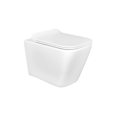 Унитаз подвесной безободковый Aquatek ДЕЛЬТА AQ1911-00 480*350*320 с сиденьем Soft Close