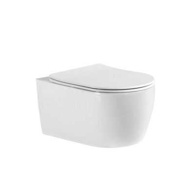 Унитаз подвесной безободковый Aquatek ЕВРОПА AQ1106-00 490*360*250 с сиденьем Soft Close