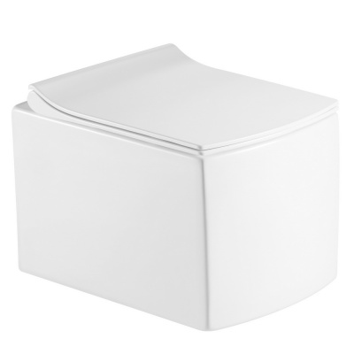 Унитаз подвесной Calypso CS48EP 485x350