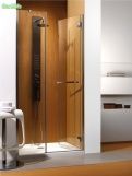 Душевые дверки Carena DWJ 110