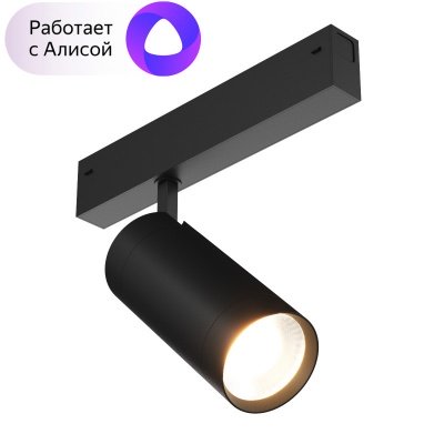 Светильник на шине Denkirs DK8020-BK